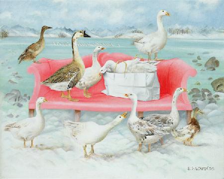 Geese on Pink Sofa, 2000 (acrylic on canvas) 