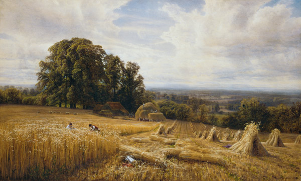 Grain harvest od Edmund George Warren
