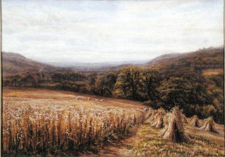 Harvest Time near Ashburton od Edmund George Warren