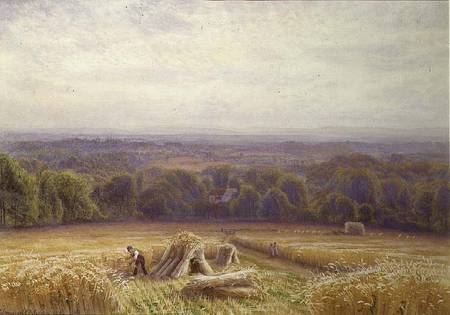 Harvesting od Edmund George Warren