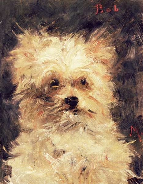 Head of a Dog - "Bob" od Edouard Manet
