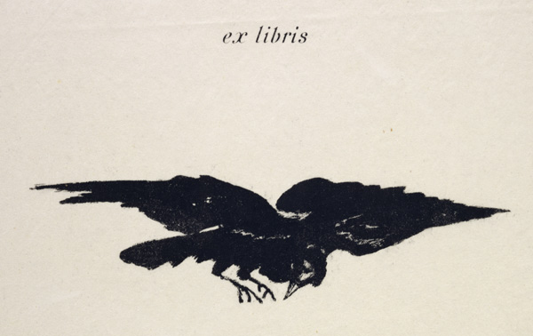 Le Corbeau (The Raven) od Edouard Manet