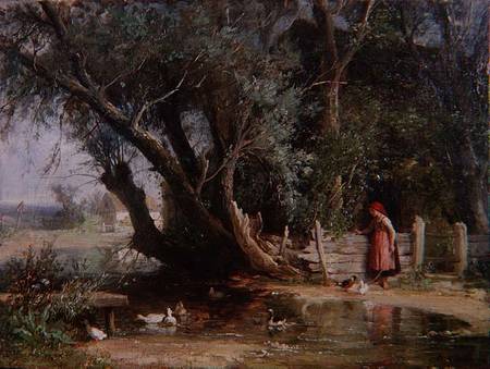 The Duck Pond od Eduard Heinel