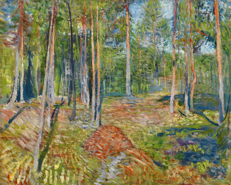 Pine Forest od Edvard Munch