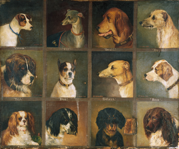 Twelve Favourite Dogs od Edwin Frederick Holt