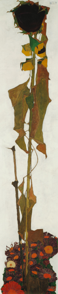 Sunflower od Egon Schiele