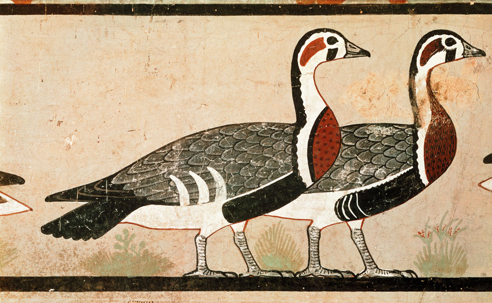 Meidum geese, from the Tomb of Nefermaat and Atet, Old Kingdom od Egyptian