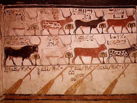 The seven celestial cows and the sacred bull and the four rudders of heaven, from the Tomb of Nefert od Egyptian