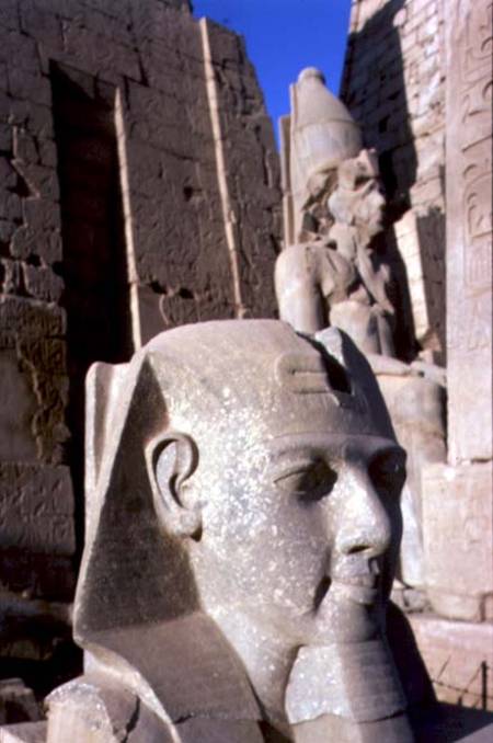 Colossal head of Ramesses II (1298-32 BC) New Kingdom (photo) od Egyptian