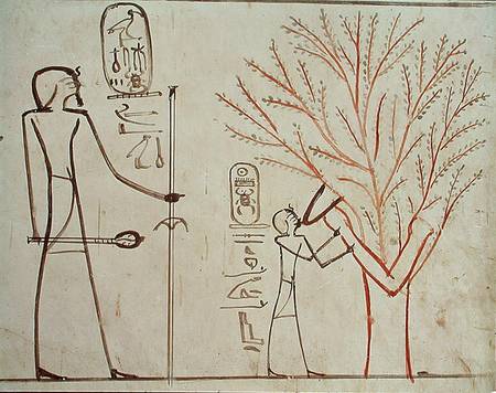 Isis metamorphosed into a sycamore tree suckling Tuthmosis III (c.1479-1425 BC) od Egyptian