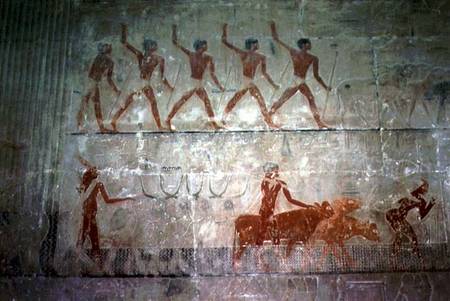 Men herding sheep and cattle from the Mastaba Chapel of Ti, Old Kingdom od Egyptian
