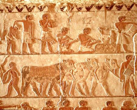 Painted relief depicting the posting of taxes and a group of cattle, Old Kingdom od Egyptian