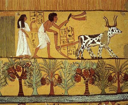 Sennedjem and his wife in the fields sowing and tilling, from the Tomb of Sennedjem, The Workers' Vi od Egyptian
