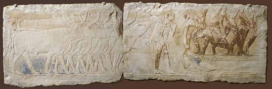 Relief of Peasants Driving Cattle and Fishing, Old Kingdom, 2450-2290 BC od Egyptian School