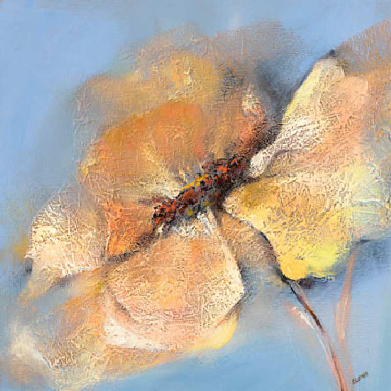 Bright Anemone I od Elena Filatov