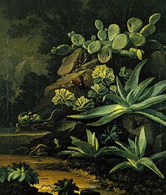 Cactuses and lizards od Elias van den Broeck