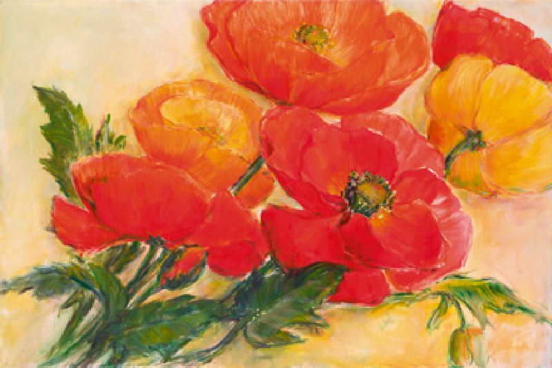 Splendid Poppies od Elisabeth Krobs
