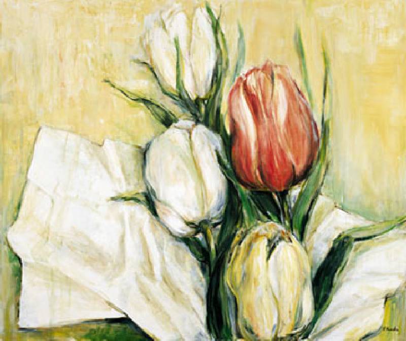 Tulipa Antica od Elisabeth Krobs