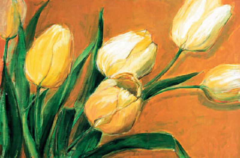 Tulipa Nova od Elisabeth Krobs