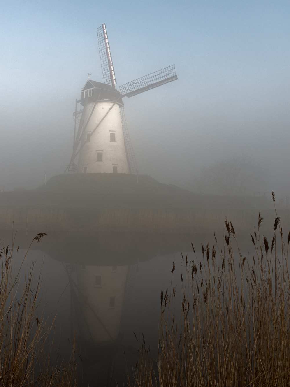 foggy morning od Elisabeth Wehrmann