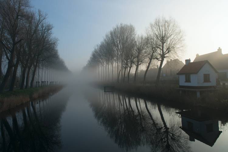 Mist across the Canal od Elisabeth Wehrmann