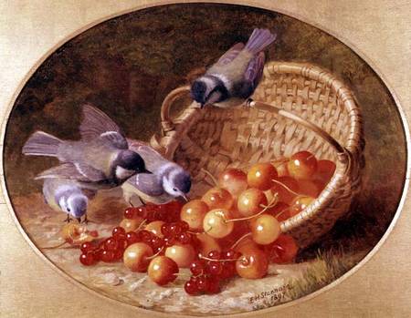Bluetits pecking at cherries od Eloise Harriet Stannard