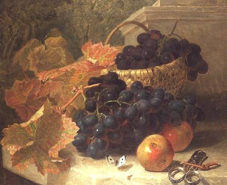 Still Life with Grapes and Scissors on a Stone Shelf od Eloise Harriet Stannard