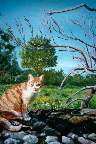 Cat in front of orange tree od Elsa Glück
