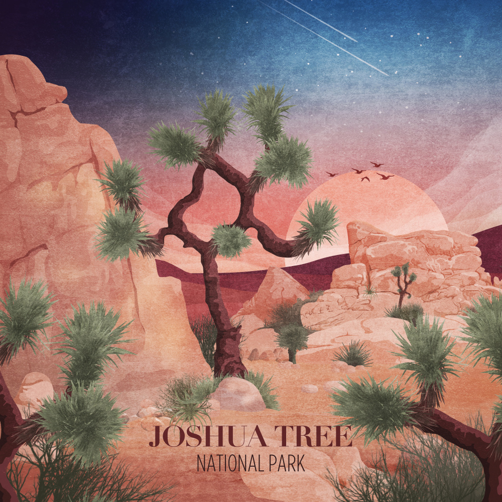 Joshua Tree od Emel Tunaboylu