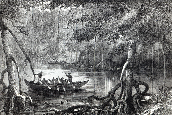 Mangrove Forest'', frontispiece illustration from ''Twenty Nine Years in the West Indies and Central od English School