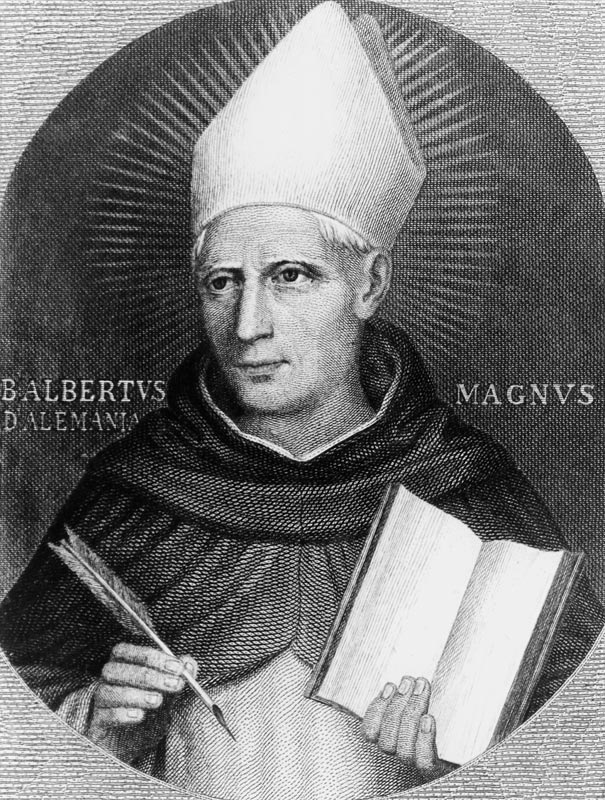 St Albertus Magnus od English School