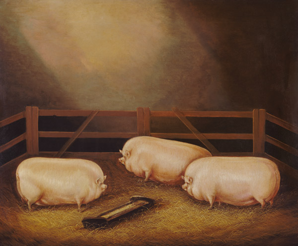 Three Prize Pigs outside a Sty od English School