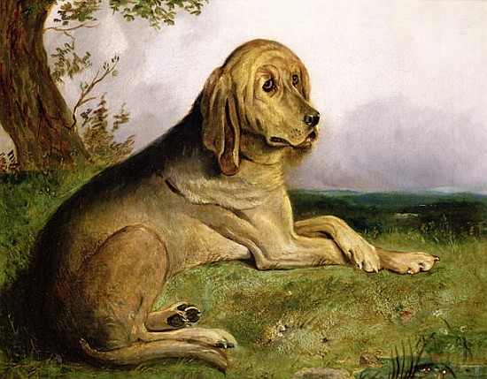 A Bloodhound in a Landscape od English School
