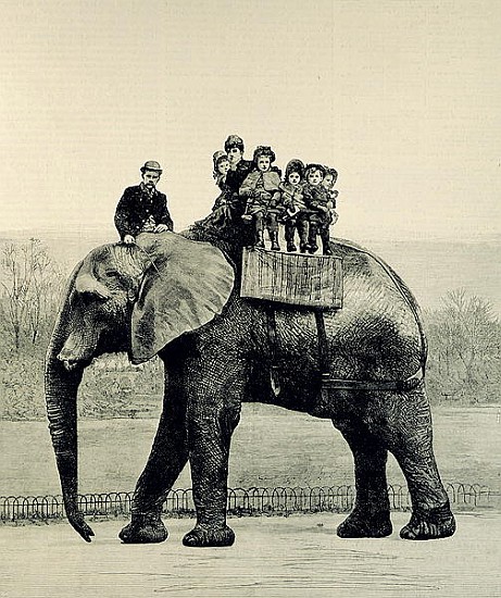 A Farewell Ride on Jumbo, from ''The Illustrated London News'', 18th March 1882 od English School