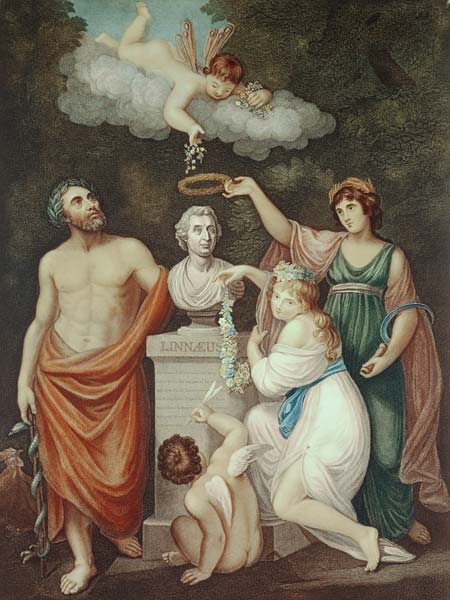 Aesculapius, Flora, Ceres and Cupid Honouring the Bust of Linnaeus, plate 17 from ''The Temple of Fl od English School