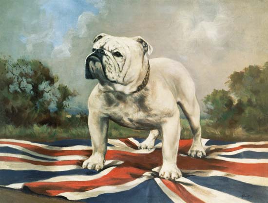 British Bulldog od English School