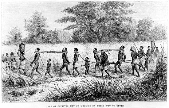 Gang of Captives Met at Mbame''s on their way to Tette; engraved by Josiah Wood Whymper (1813-1903) od English School