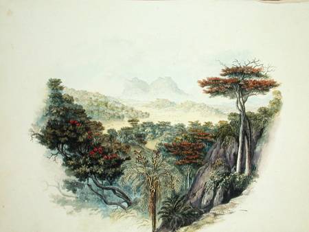 The Mountains, Ceylon  on od English School