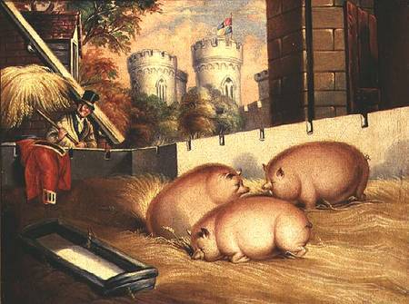 Three Pigs with Castle in the Background od English School