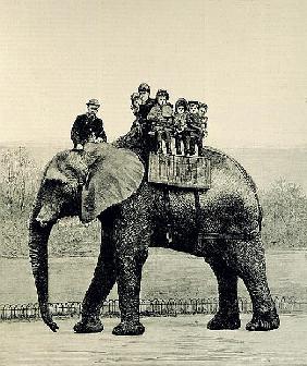 A Farewell Ride on Jumbo, from ''The Illustrated London News'', 18th March 1882