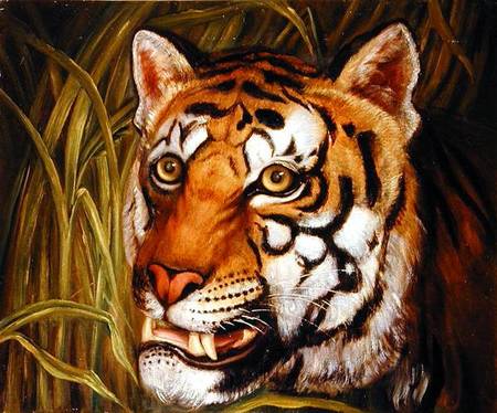 Tiger, tiger burning bright... od English School