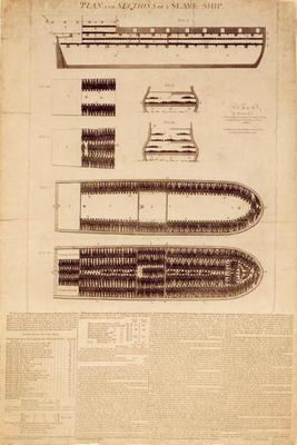 Plan and sections of a slave ship, published 1789 (engraving) od English School, (18th century)