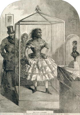 Miss Julia Pastrana, The Embalmed Nondescript, Exhibiting at 191 Piccadilly, 1862 (engraving) od English School, (19th century)