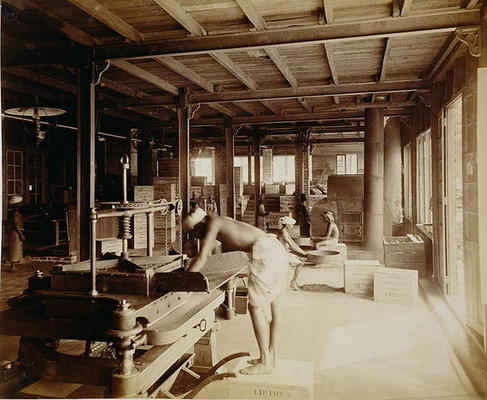 Tea pickers at the Lipton factory in Ceylon, c.1900 (photo) od English School, (20th century)