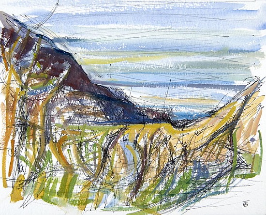 Towards Marsland Mouth, North Devon (pen and ink and and on paper) od Erin  Townsend