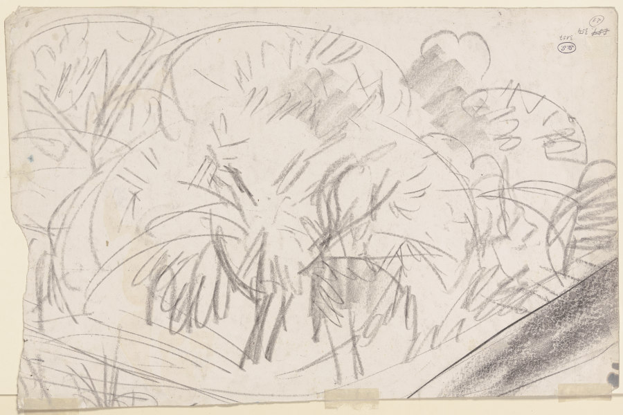 Group of trees od Ernst Ludwig Kirchner