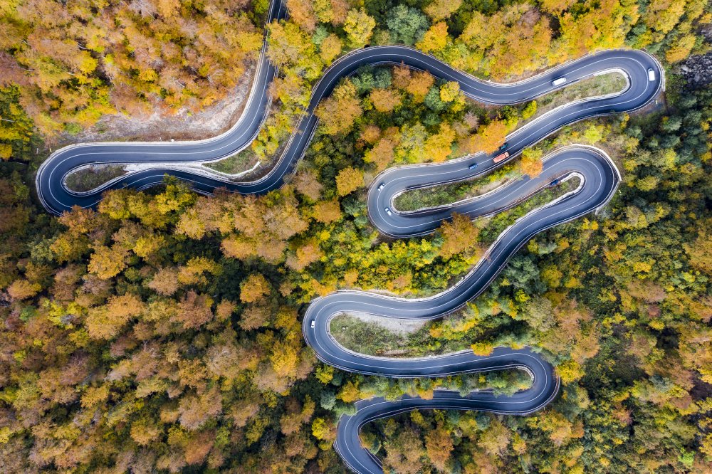 Autumn road od Eros Erika