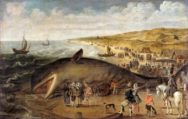The Whale beached between Scheveningen and Katwijk od Esaias II van de Velde