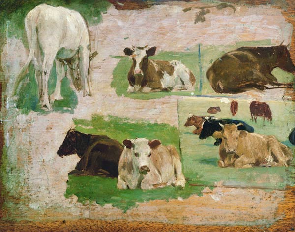 Study of Cows od Eugène Boudin