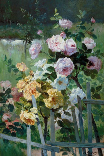 Roses at the garden fence od Eugene Henri Cauchois